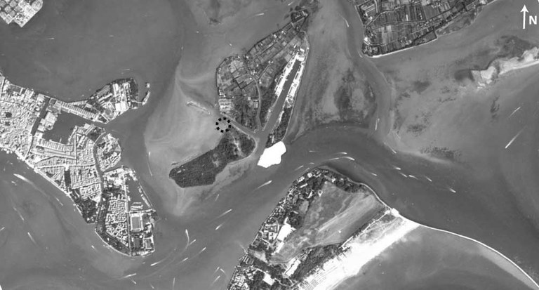 Canale della Certosa_1.jpg