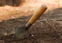 Patrimonio Archeologico