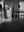 B-9_CHIAROSCURI.jpg