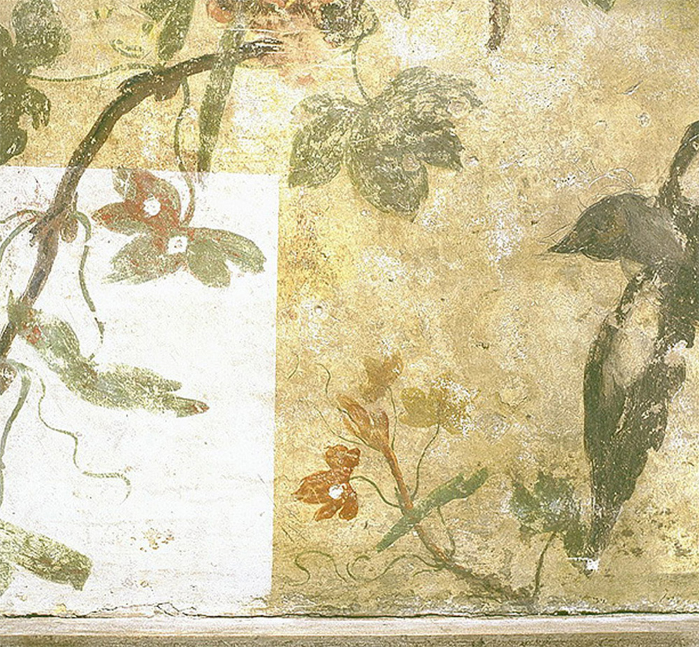 Tassello di pulitura