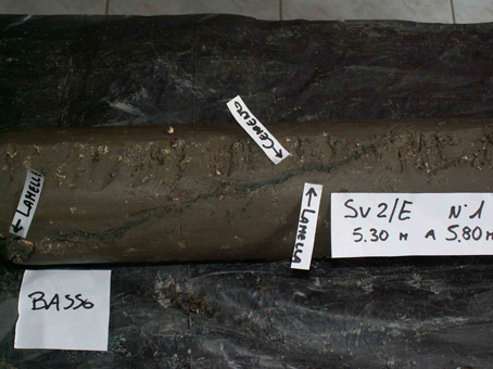 stratigrafia del terreno di fondazione mediante carotaggio